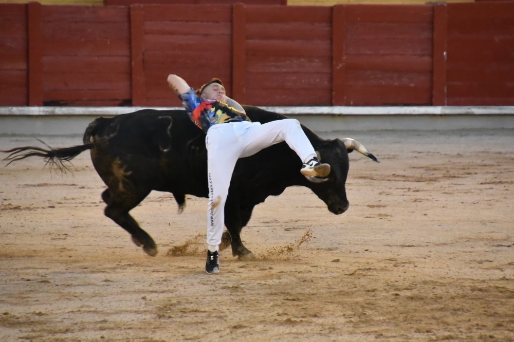 Imagen 5