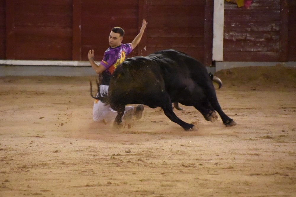 Imagen 9