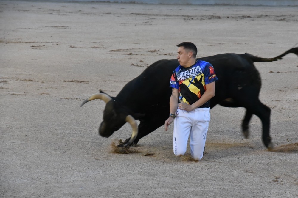 Imagen 2