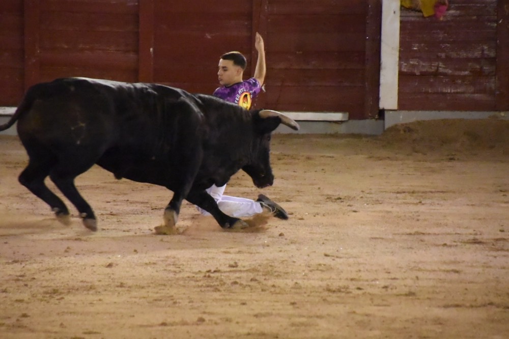 Imagen 8