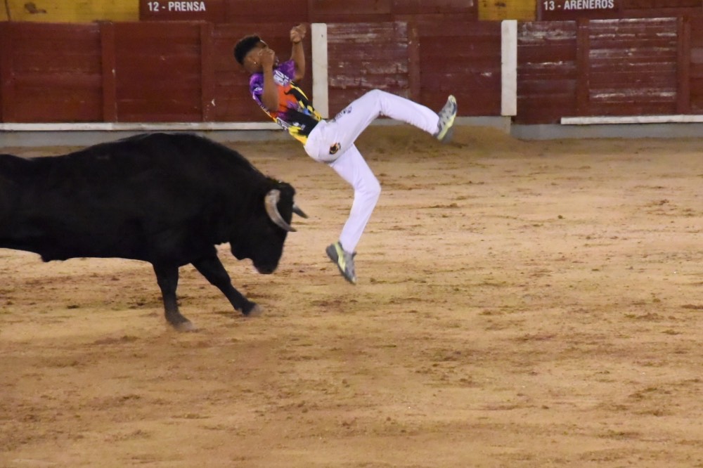 Imagen 11