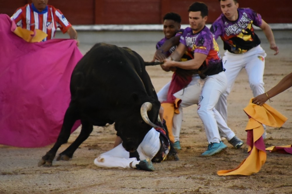Imagen 4
