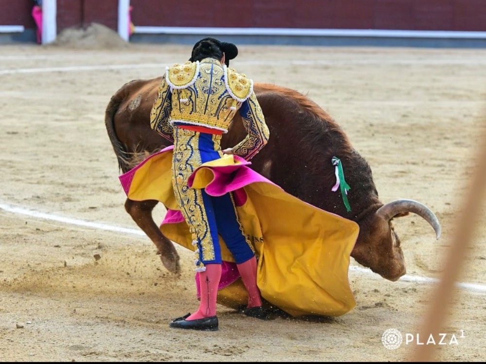 Imagen 1