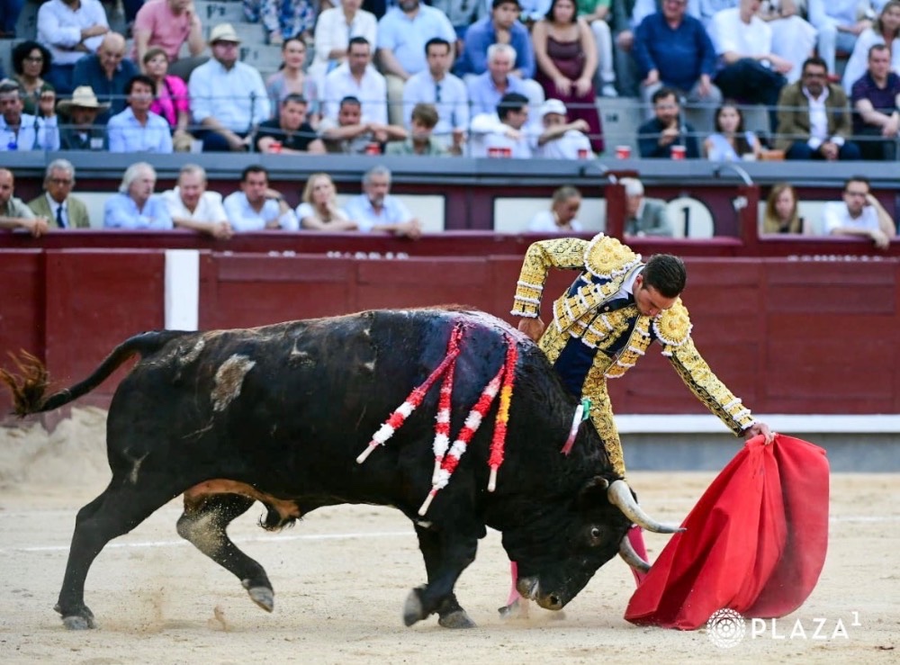 Imagen 2