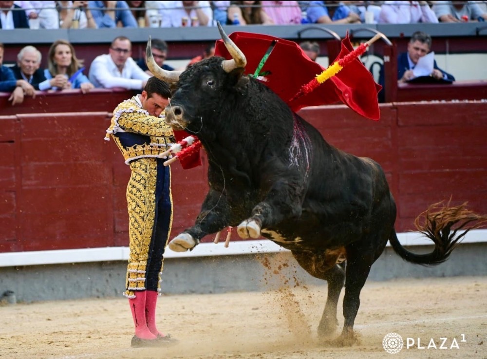 Imagen 5