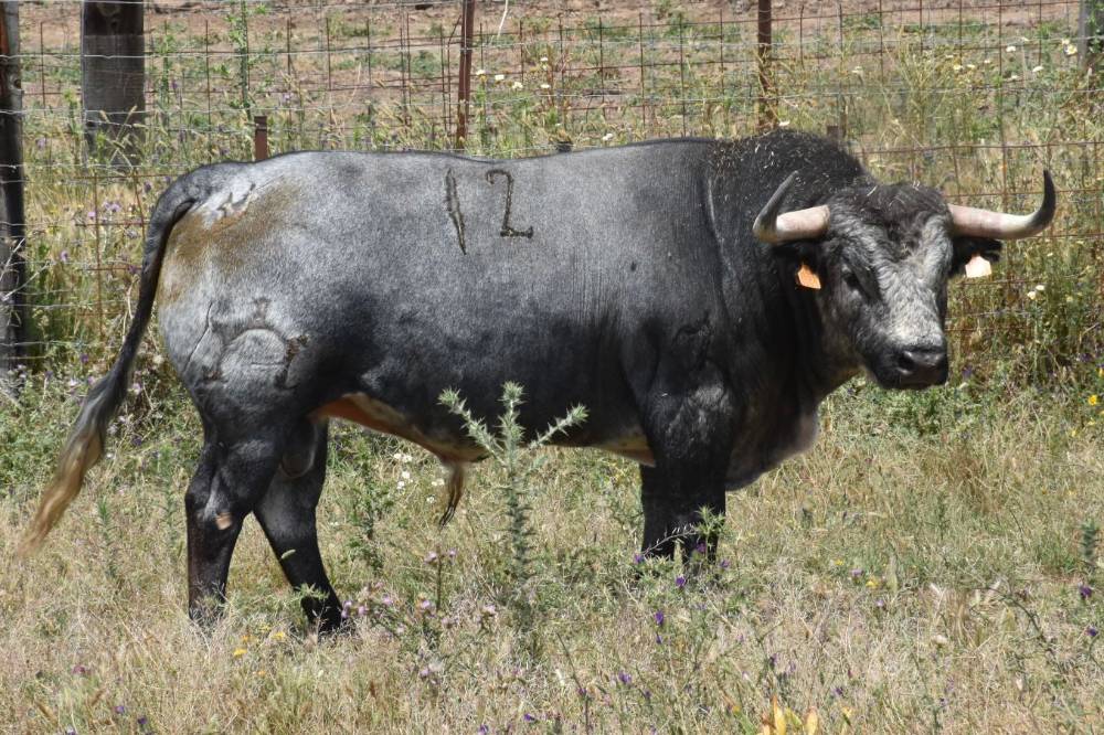 Imagen 5