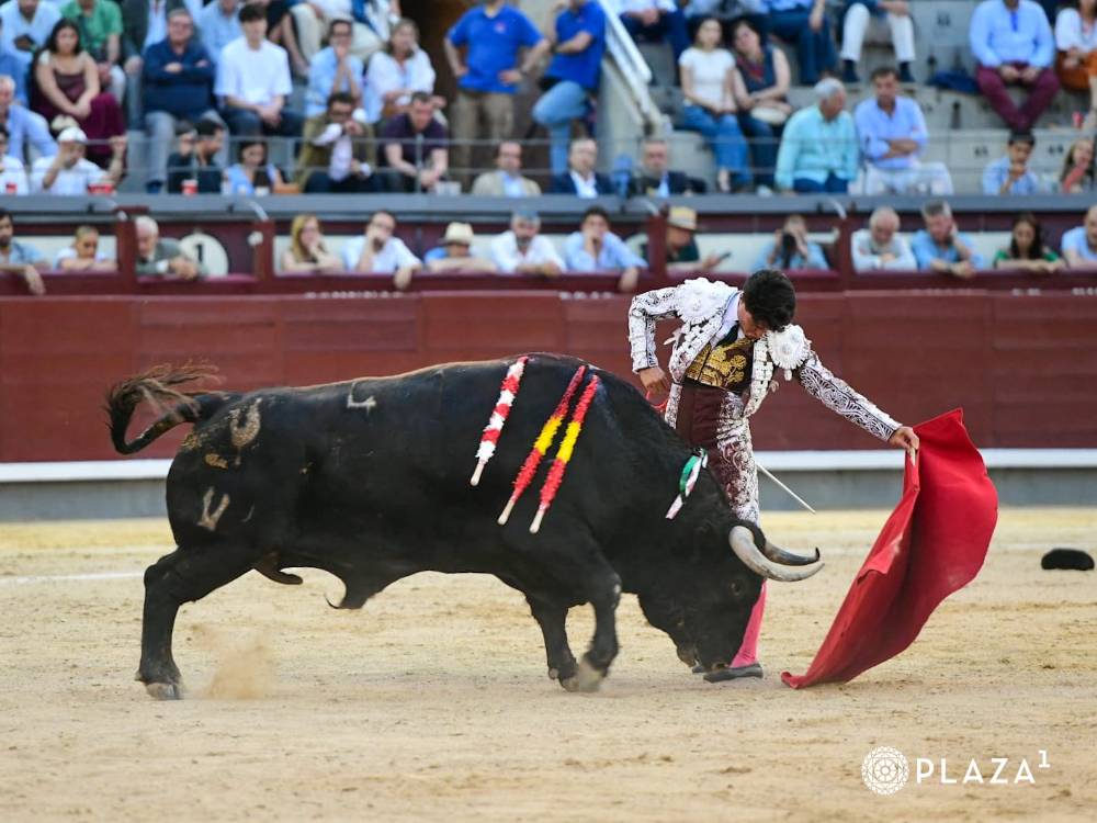 Imagen 1