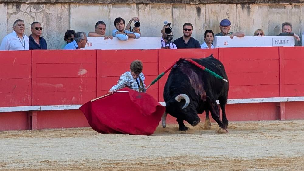 Imagen 2
