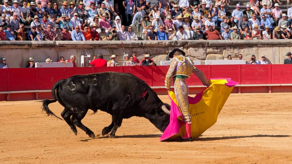 Imagen 7