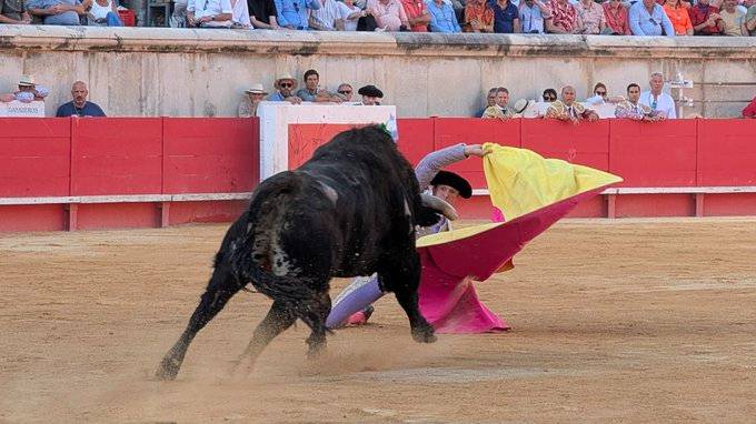 Imagen 6