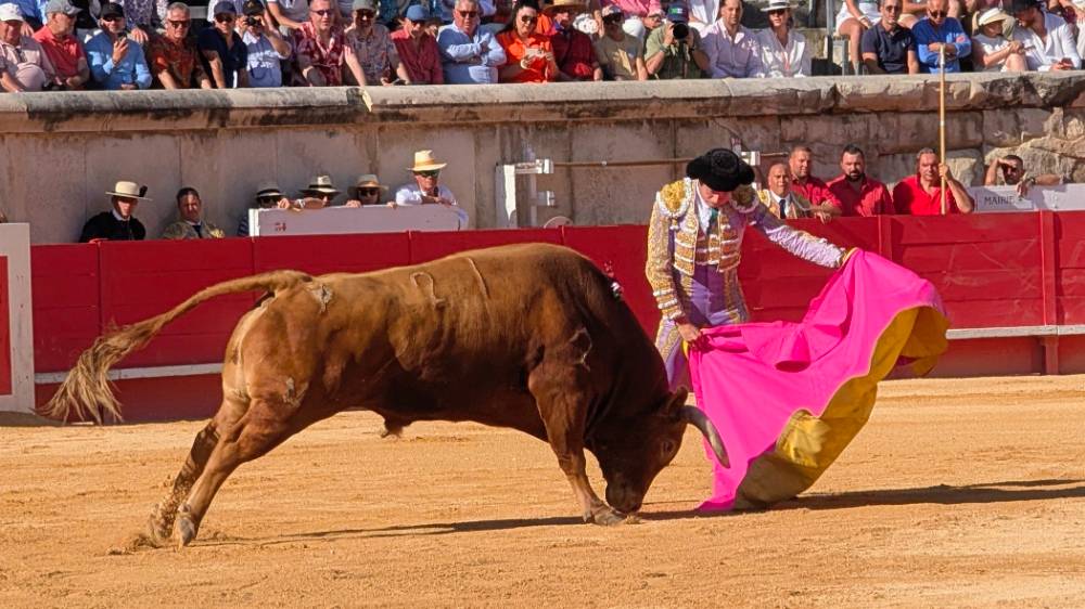 Imagen 8