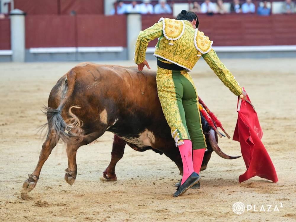 Imagen 11