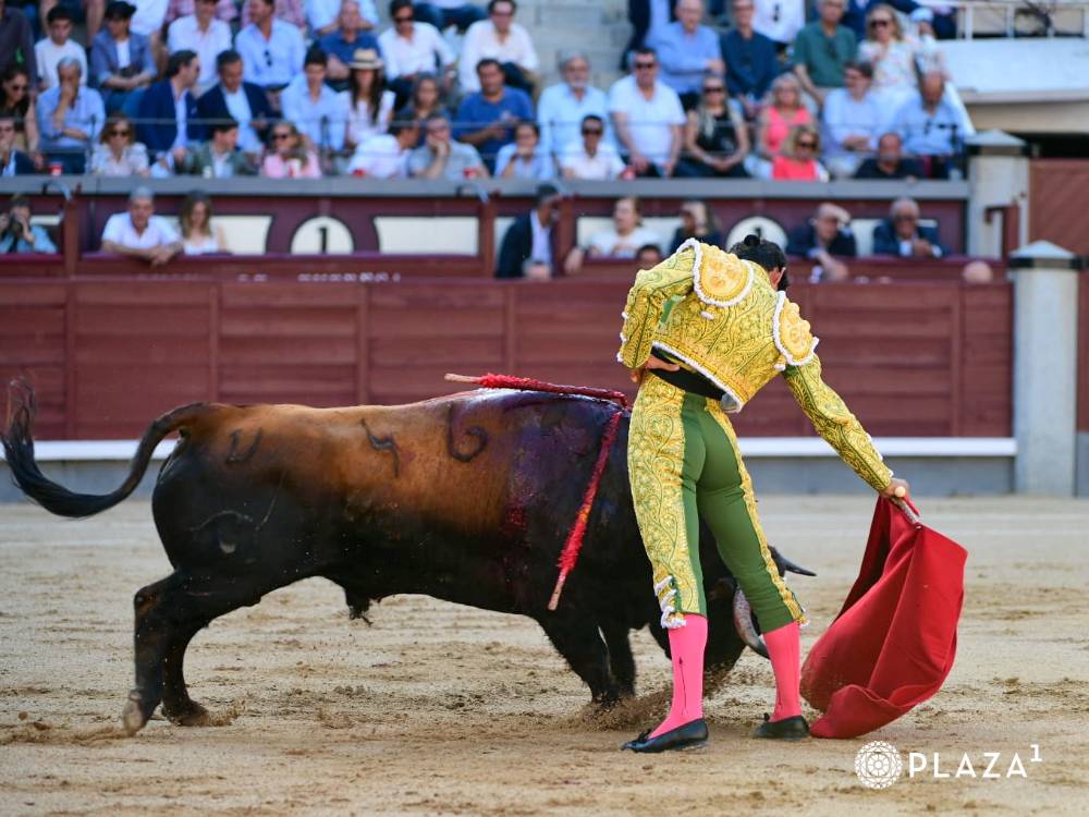 Imagen 2