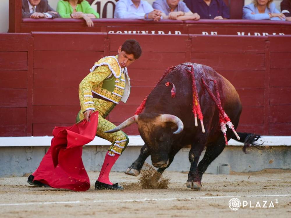 Imagen 1