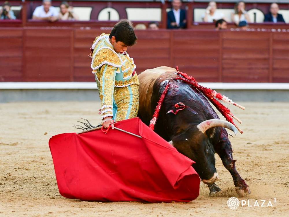Imagen 5