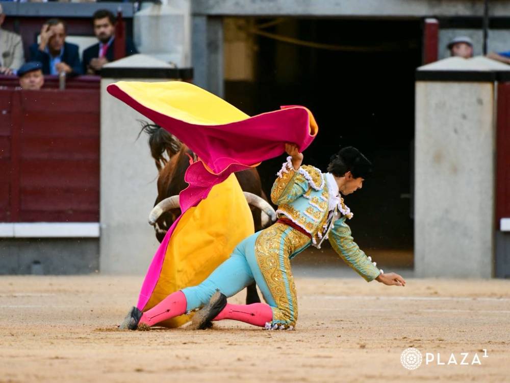 Imagen 15
