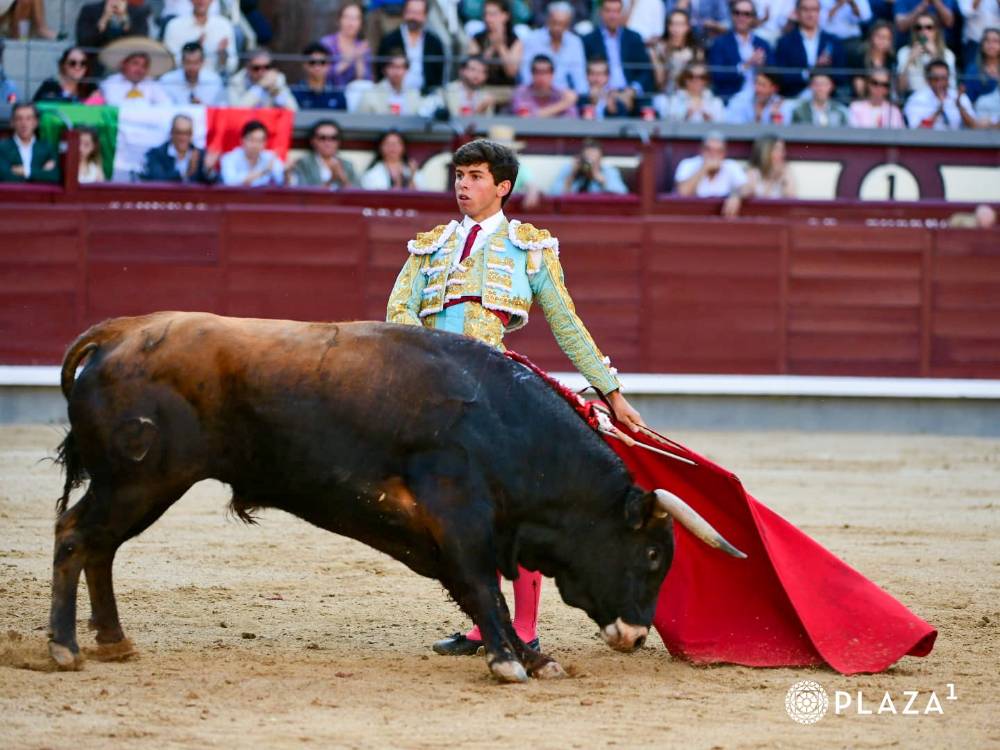 Imagen 7