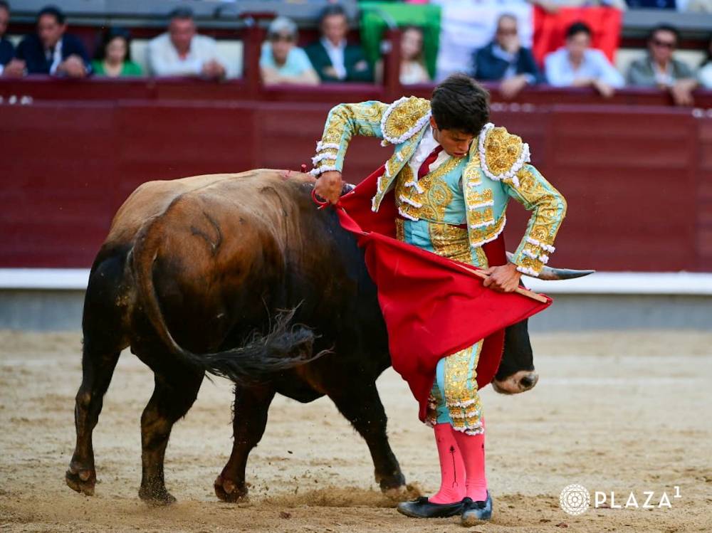 Imagen 6