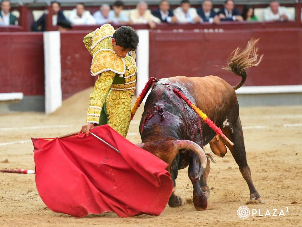 Imagen 13