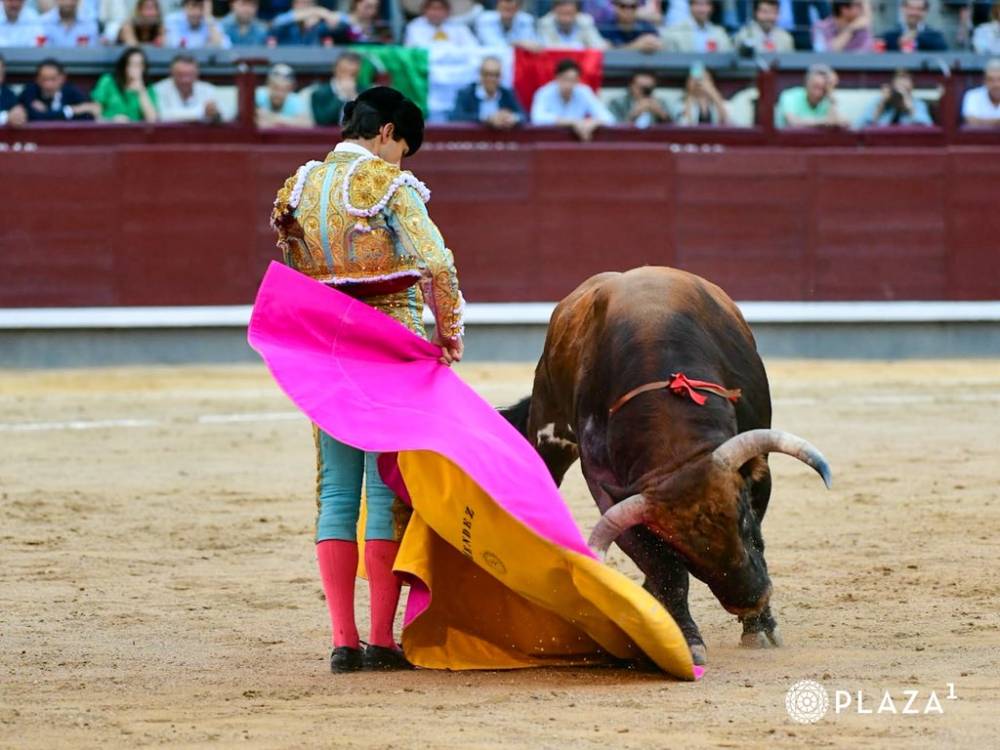 Imagen 16