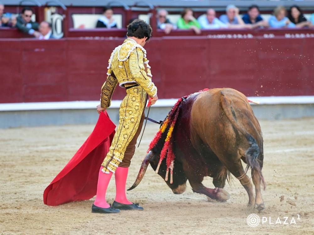 Imagen 4