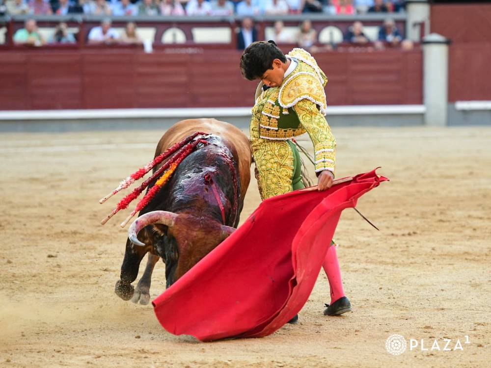 Imagen 12