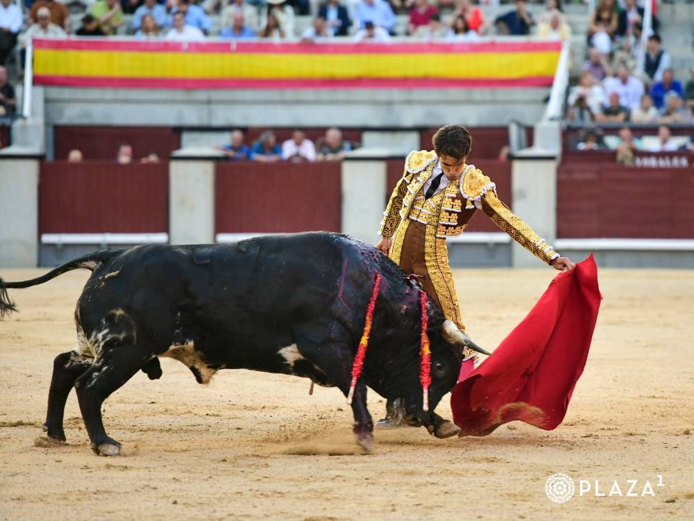 Imagen 14