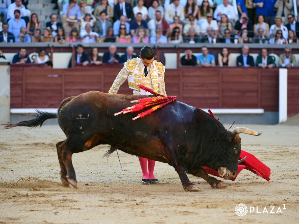Imagen 7