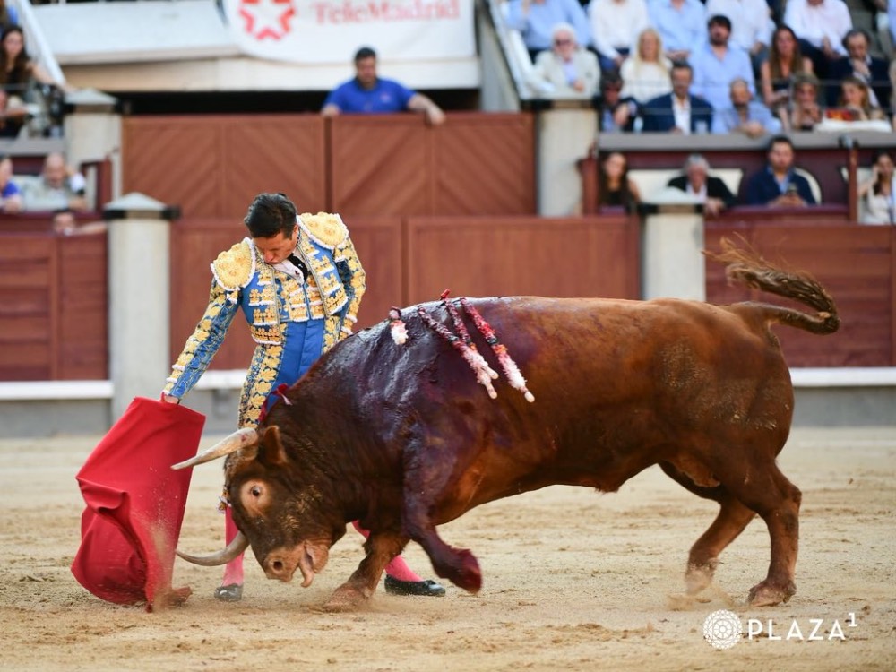 Imagen 8
