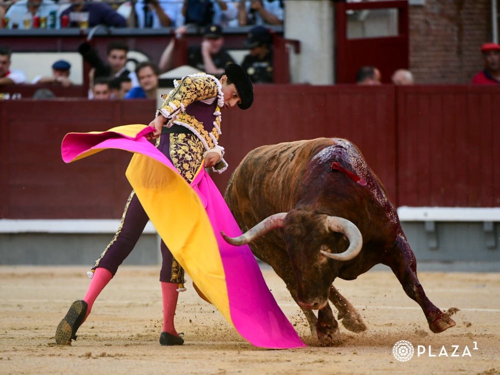Imagen 18