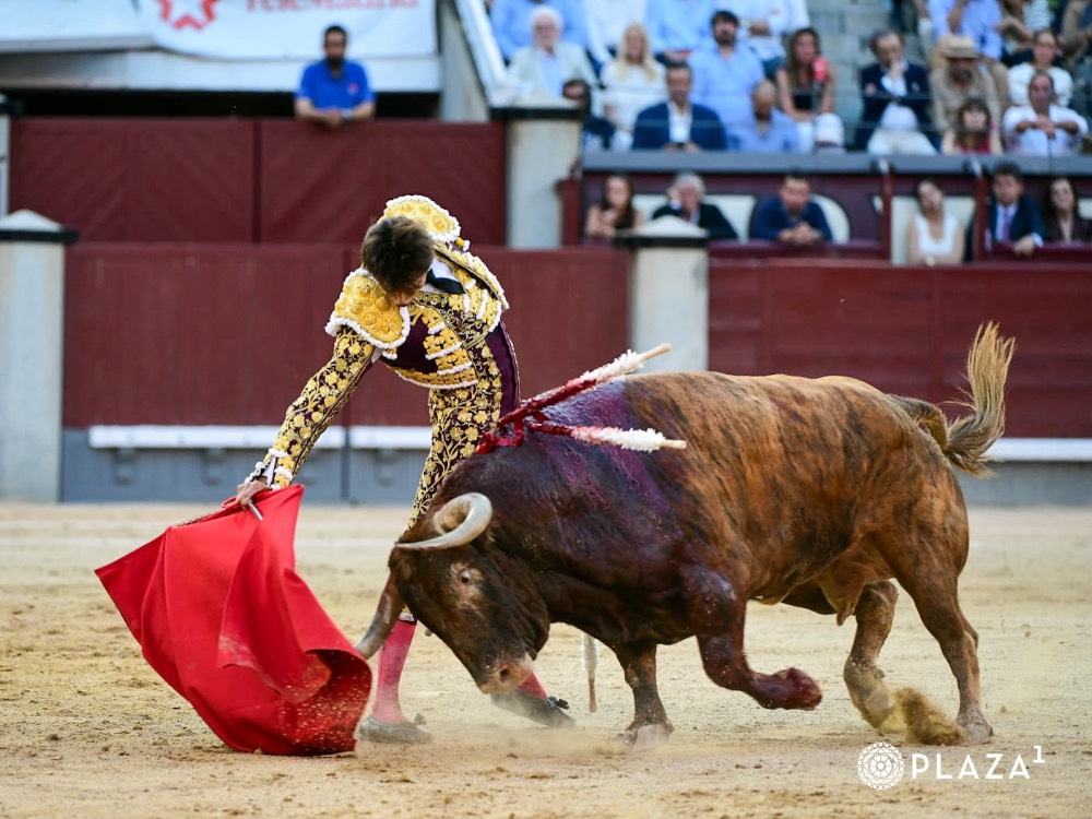 Imagen 19