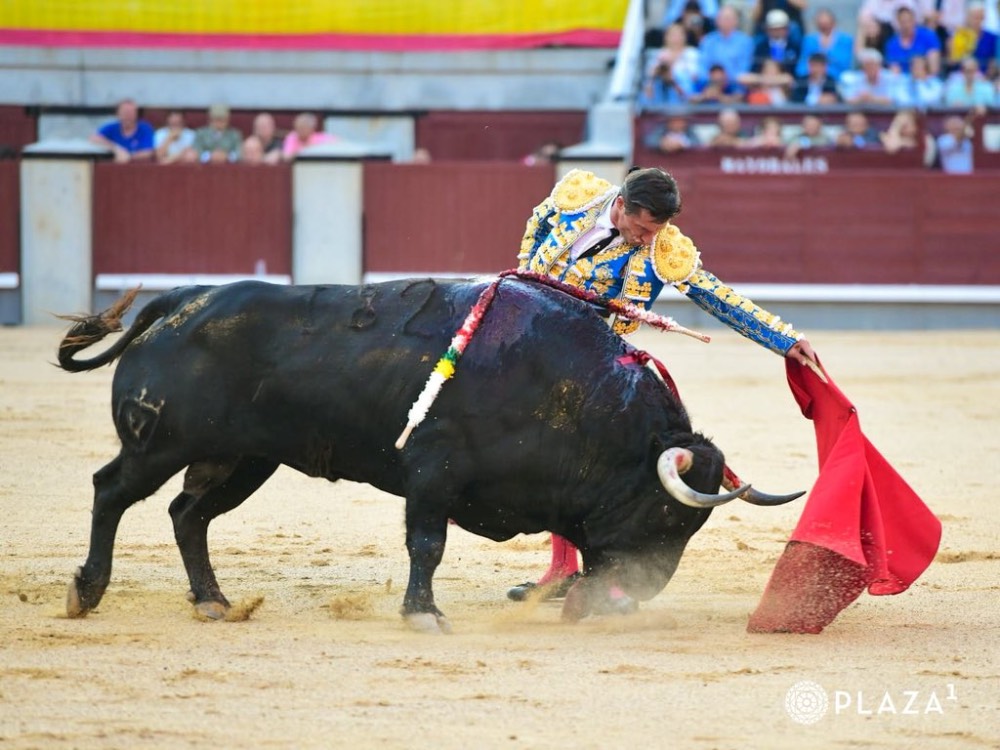 Imagen 17