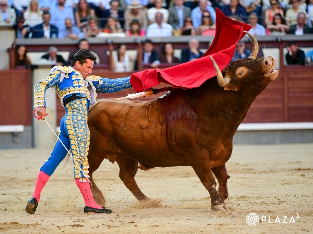 Imagen 10