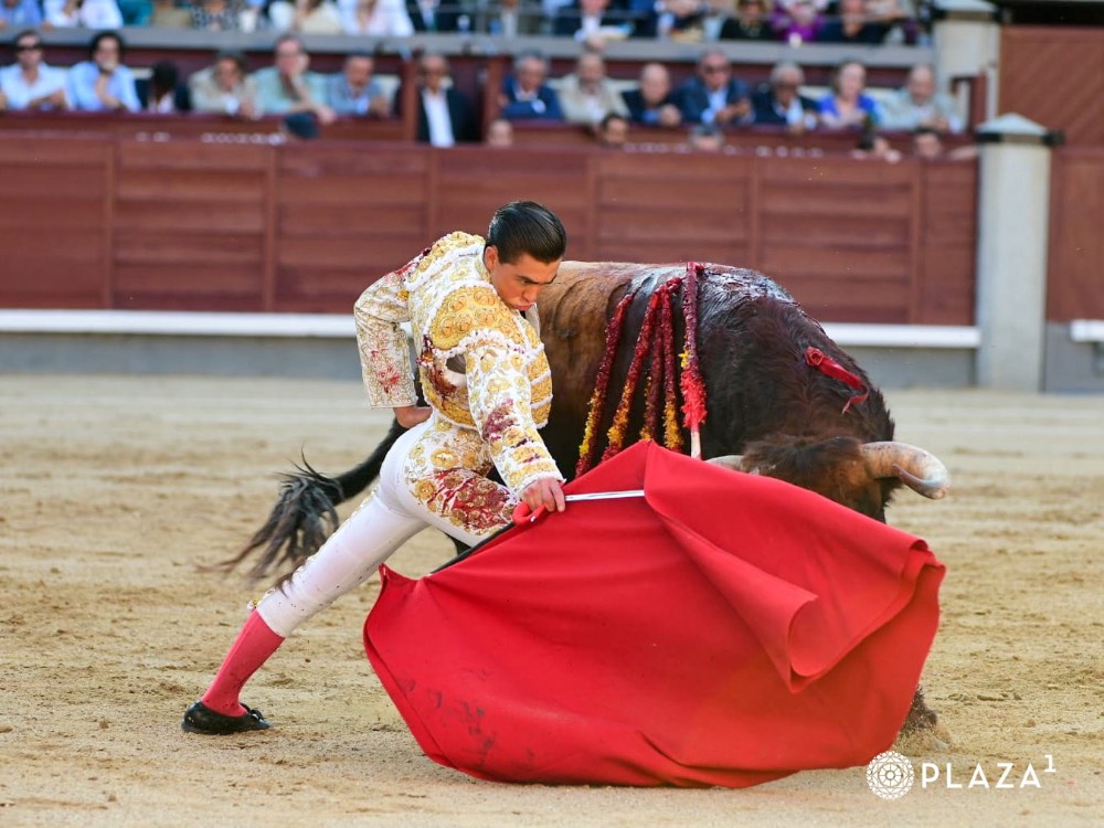 Imagen 6