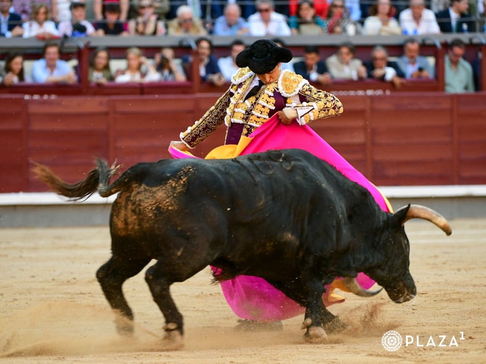 Imagen 12