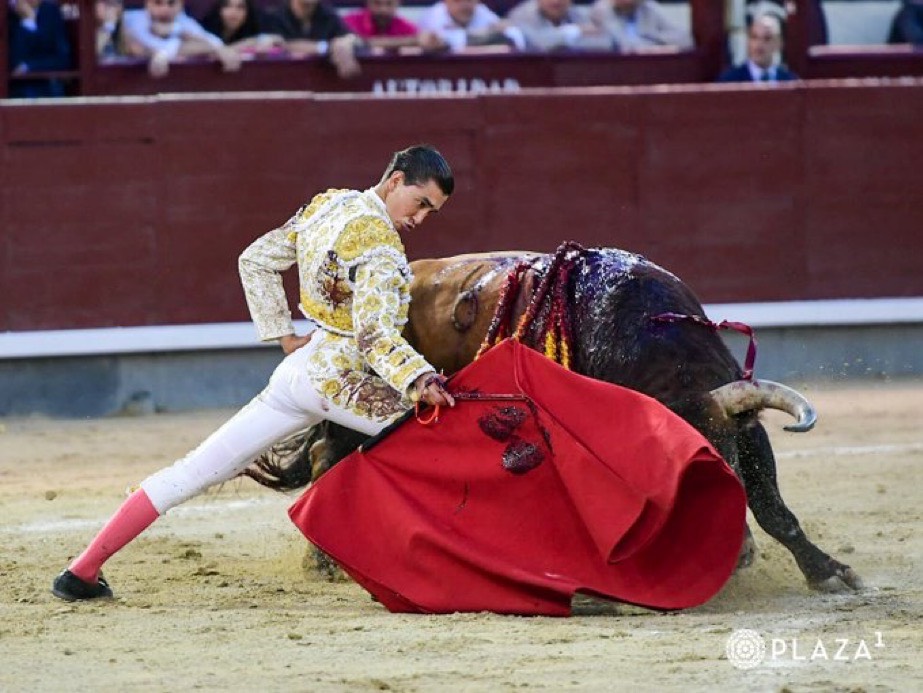 Imagen 22
