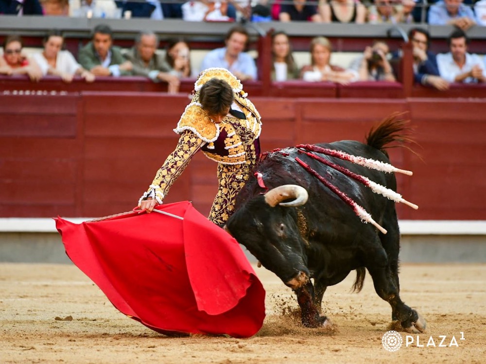 Imagen 13
