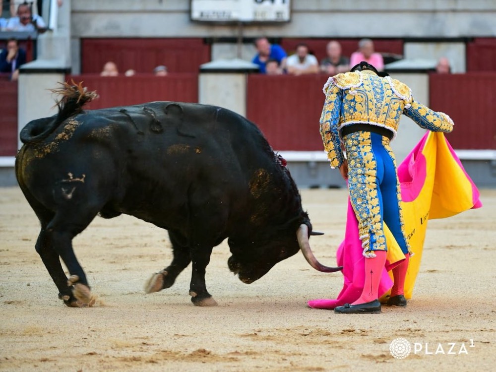 Imagen 14