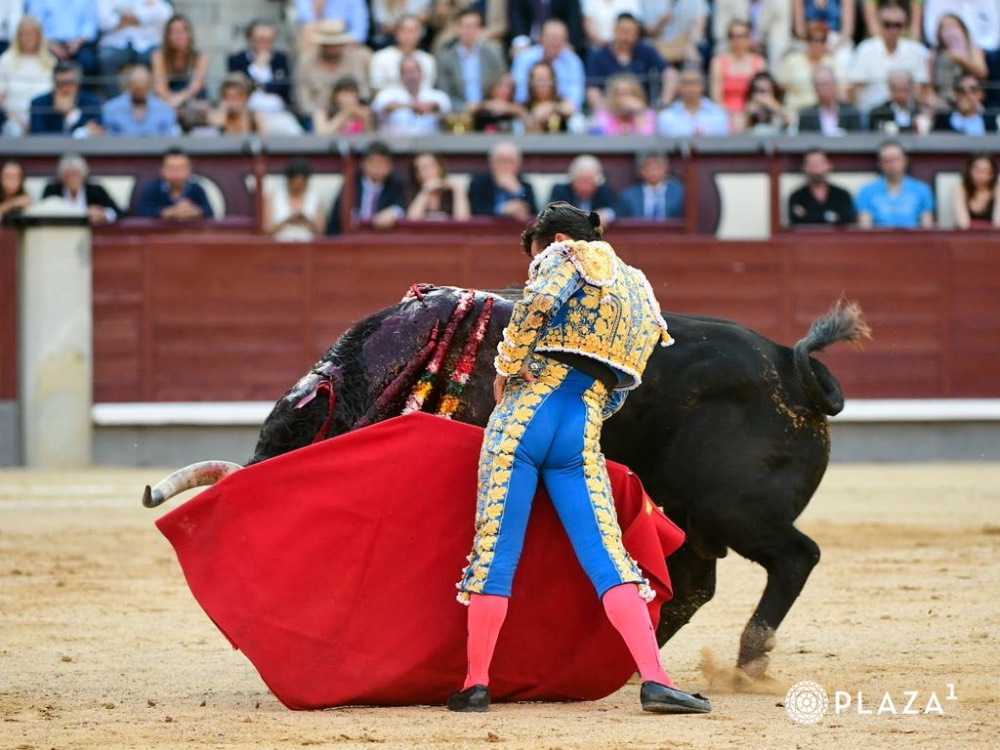 Imagen 16