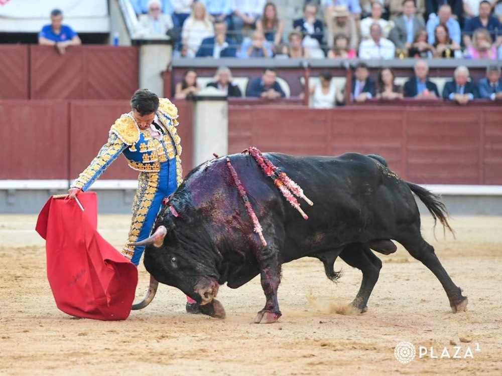 Imagen 15