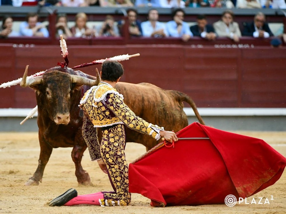 Imagen 20