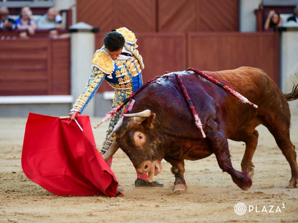 Imagen 9