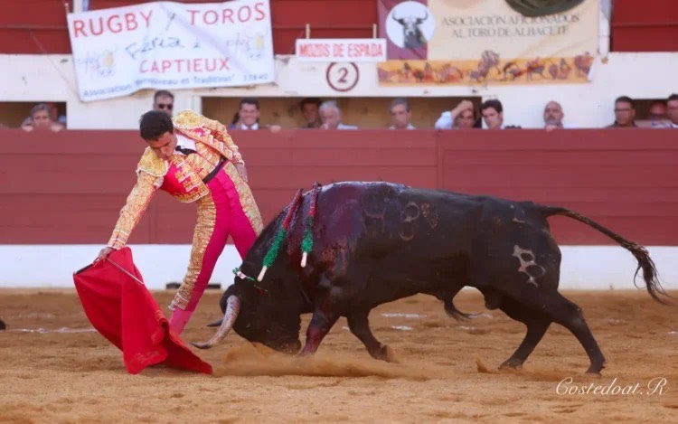 Imagen 2