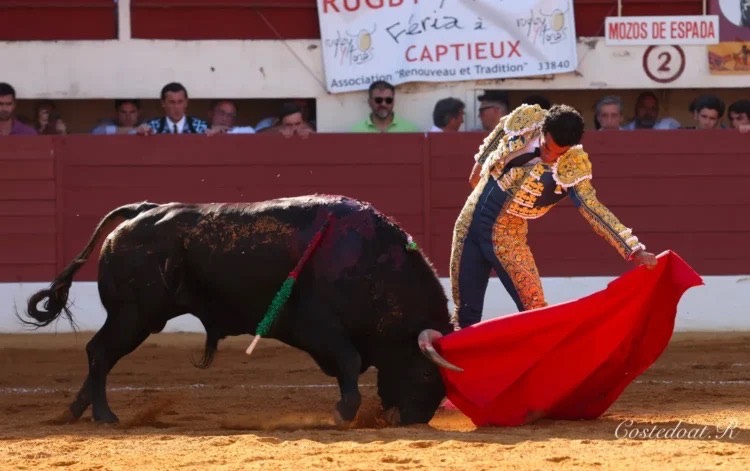 Imagen 1