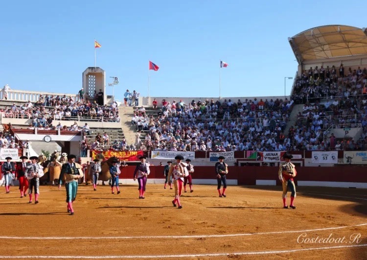 Imagen 5