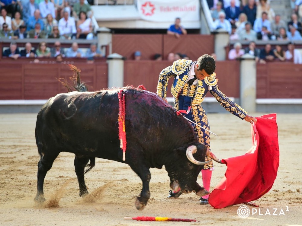 Imagen 3