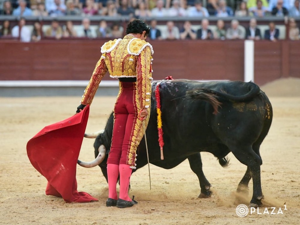 Imagen 16