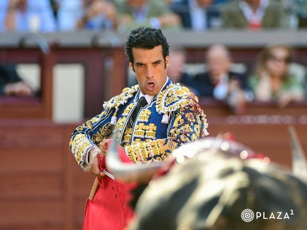Imagen 2