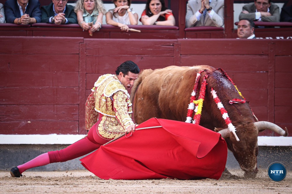 Imagen 8