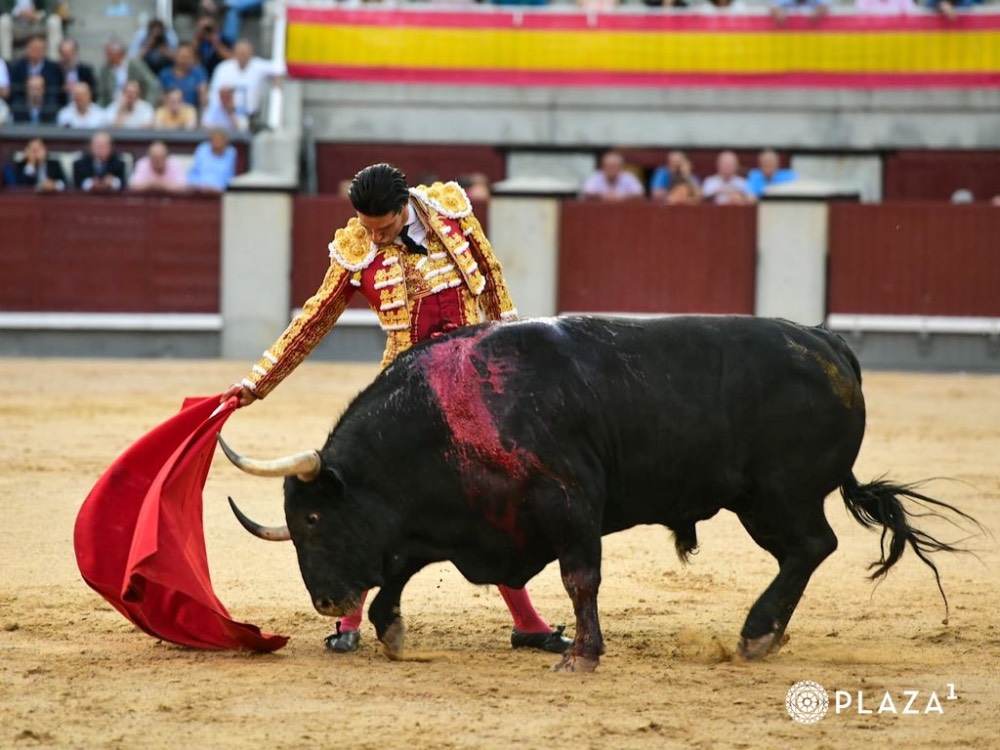 Imagen 17